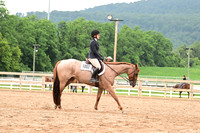 AJB_6893
