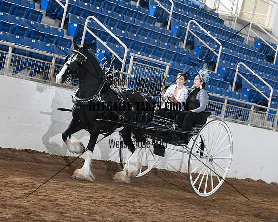 shires_6077
