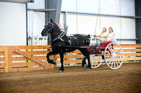 AJB_0253