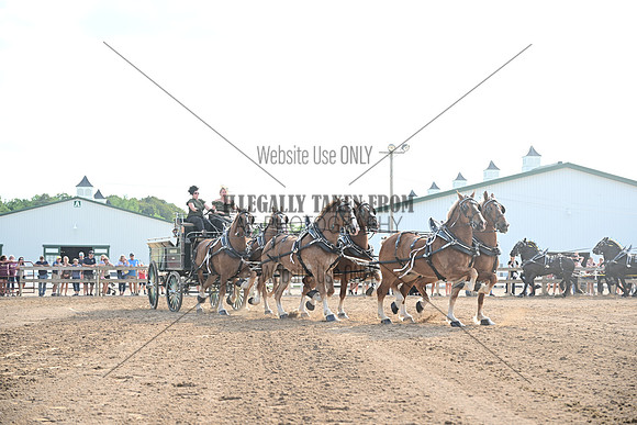AJB_0484