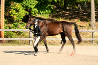 AJB_0289