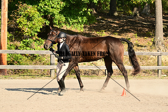 AJB_0289