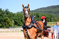 AJB_4524