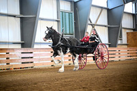 AJB_0256