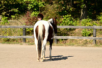 AJB_0425
