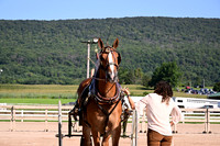 AJB_4568