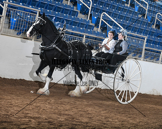 shires_6078