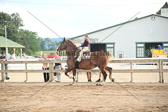 AJB_0659