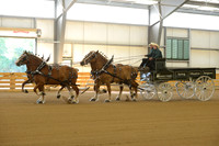 Four Horse Hitch-3