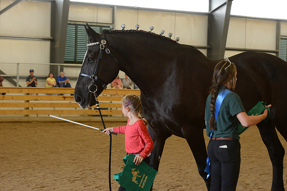 Jr. Youth Showmanship-54