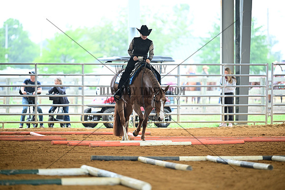 AJB_0540