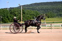 AJB_4403