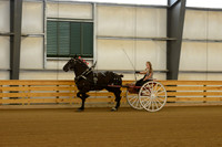 Sr. Youth Cart-7