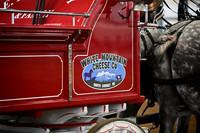 White Mountain Percherons