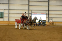 Ladies Team-12