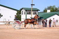 AJB_4410