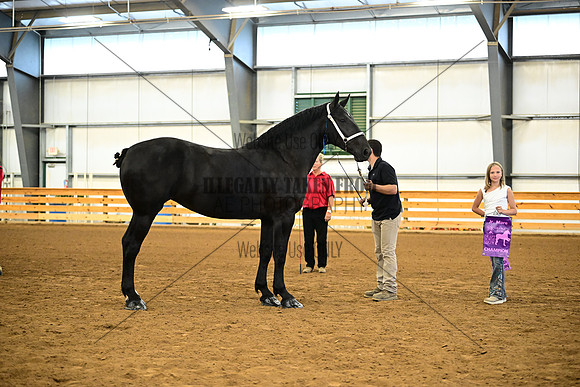 AJB_6332