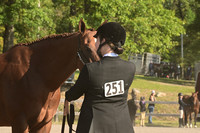 AJB_0284