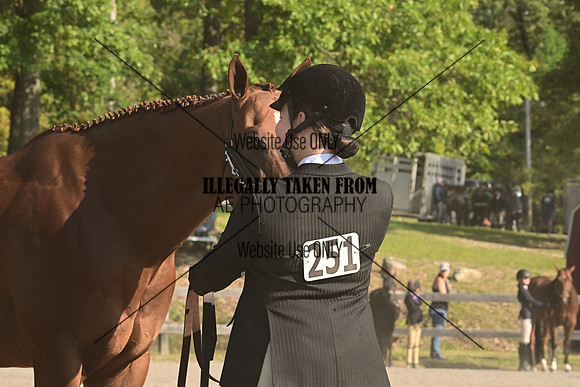 AJB_0284