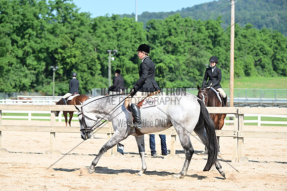 AJB_6734
