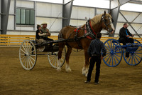 Pleasure Cart-14
