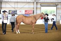 18. Aged mares