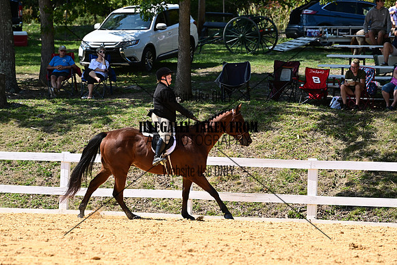 AJB_0883