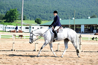 AJB_6571