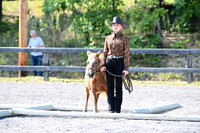 AJB_1071