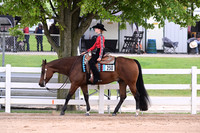 ASH_3527