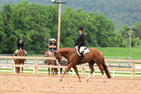 AJB_6903