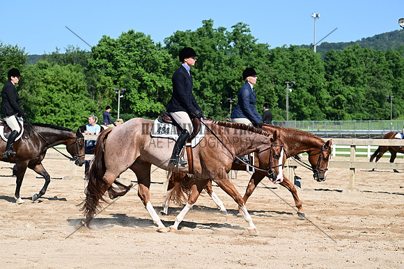 AJB_6558