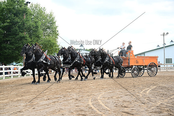 AJB_0626