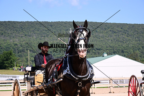 AJB_4946