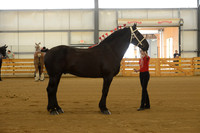 Sr. Youth Showmanship-5