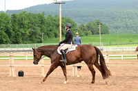 AJB_6589