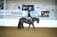 AJB_4164