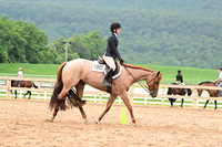 AJB_6890