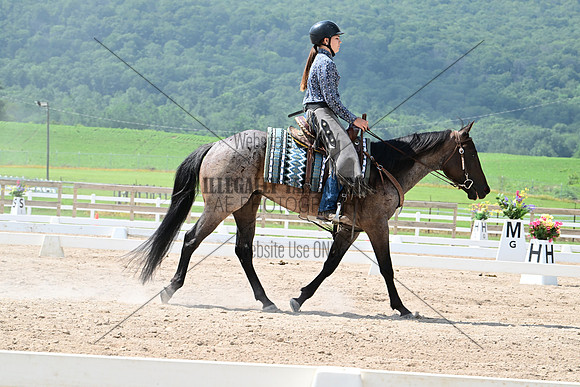 AJB_3298