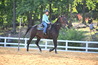 AJB_3174