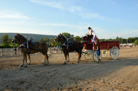 Four Horse Hitch_Amateur_youth-18