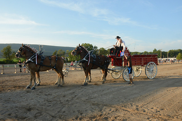 Four Horse Hitch_Amateur_youth-18