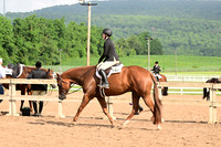 AJB_6547