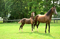AJB_4778