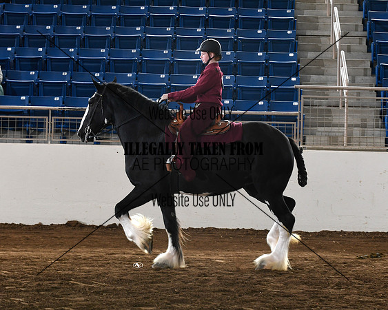 shires_6434