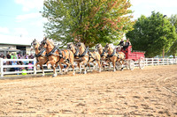 AJB_0534