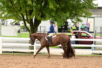 AJB_6587