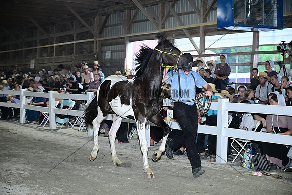 AJB_0780