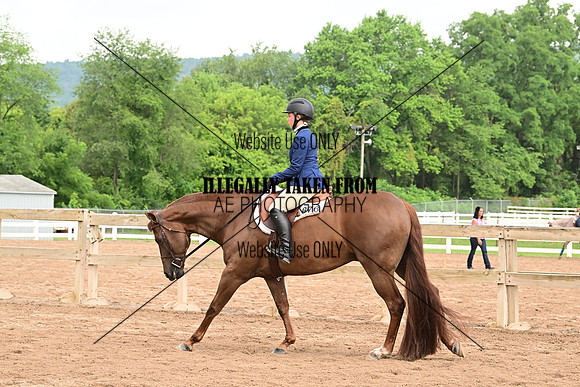 AJB_6642