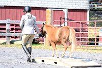 AJB_0953